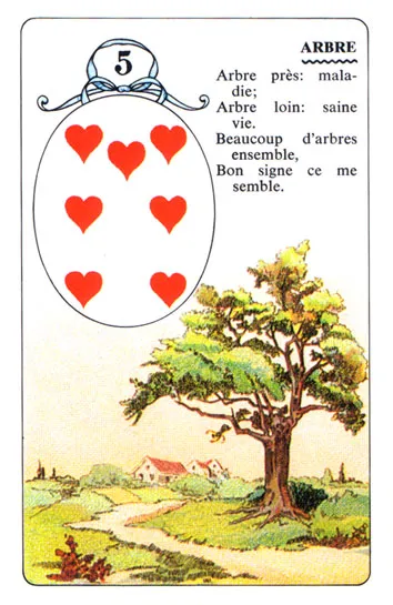 The Tree