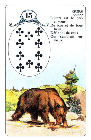The Bear