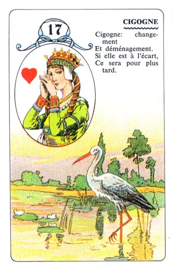 The Stork