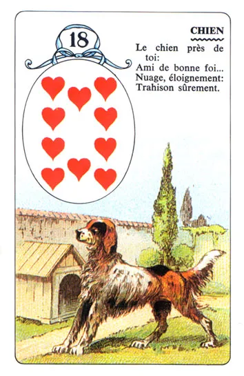 The Dog