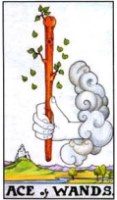 Ace of Wands tarot card