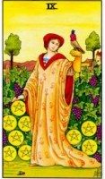 Nine of Pentacles tarot card