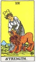 Strength tarot card